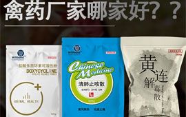 禽药厂家哪家好？这样选就对了【汇彩网登录大厅兽药】