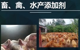 添加剂预混淆饲料公司，这有一家靠谱的！【汇彩网登录大厅兽药】