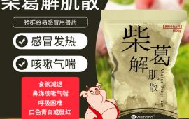 柴葛解肌散预防季节交替猪群容易伤风 汇彩网登录大厅兽药