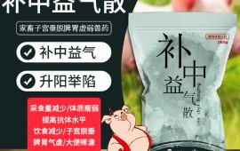 补中益气散，怎样提高猪的采食量【汇彩网登录大厅兽药】