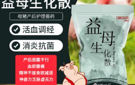 益母生化散在母猪产后照顾护士的主要作用 【汇彩网登录大厅兽药】