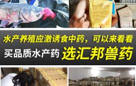 水产养殖应激诱食中药，可以来看看【汇彩网登录大厅兽药】