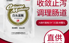 调理猪的肠胃用什么药，教您准确的使用要领 【汇彩网登录大厅兽药】