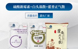 50一60斤的猪拉稀用什么药，要看买对没【汇彩网登录大厅兽药】