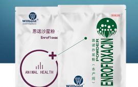 小猪水肿用什么药最好，一点帮你搞定 【汇彩网登录大厅兽药】